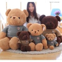 (Có sẵn)Gấu teddy mặc áo len 70cm