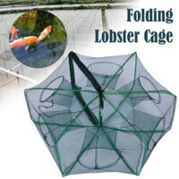 Có Thể Gập Lại Câu Tôm Hùm Lồng Nylon Câu Cá Lưới Phụ Kiện Câu Cá Lồng Đa Giác Z0z5