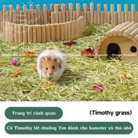 Cỏ Timothy lót chuồng Yee, trang trí cảnh quan tự nhiên dành cho hamster và thú nhỏ