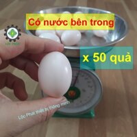 (cỡ trứng nhỏ) 50 Trứng gà giả bằng nhựa dầy, bên trong là nước 50TRG-H làm mồi cho ổ gà tre đẻ