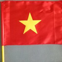 Cờ vẫy(100cái)