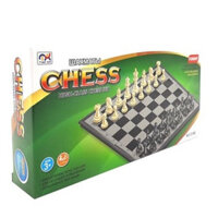 CỜ VUA NAM CHÂM (Màu Metallic bảo vệ môi trường)