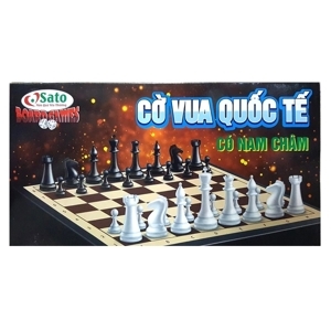 Cờ vua Quốc tế 2 Sato 041