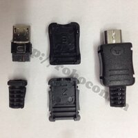CO53 Đầu Jack Micro USB Đực