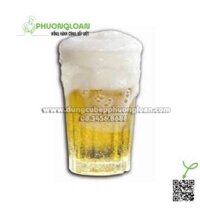Cốc bia hơi Hà Nội 330ml