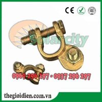 CỌC BÌNH ẮC QUY R13