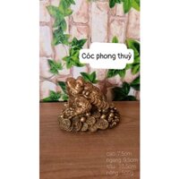 cóc đồng phong thủy 8x 10 cm nặng 500gr chất liệu bằng đồng