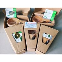 Cốc gỗ sồi Kuksa (hàng chính hãng)