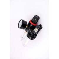 Cốc lọc khí nén nhỏ - Bộ Lọc Đôi Khí Nén