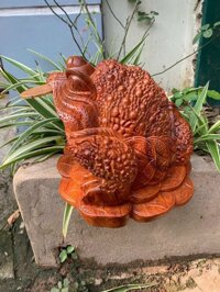 Cóc ngậm đồng tiền vàng bằng gỗ hương kt 151410cm