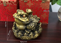 Cóc Ngậm Tiền Bằng Đồng Giả Cổ CPT-001