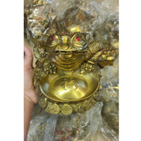 Cóc ngậm tiền ôm tiền Thiềm thừ 3 chân ngậm tiên hút tài lộc chiêu tài vật phẩm phong thuỷ bằng đồng