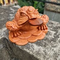 Cóc Ngậm Tiền Phong Thủy Triêu Tài Hút Lộc gỗ hương đá