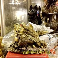 Cóc ngồi tiền phong thủy, cóc ngậm tiền xu tài lộc đồng vàng, giá cóc 3 chân bằng đồng