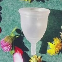 Cốc nguyệt san chính hãng pháp PHARMACUP