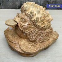 Cóc Nu Nghiến C19 R30 S30