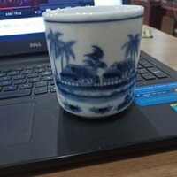 Cốc sứ chu đậu