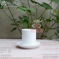 Cốc sứ không quai men trắng kèm đĩa sứ