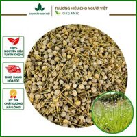 Cốc tinh thảo 1kg, cỏ dùi trống giúp sáng mắt, khô, sạch, đẹp - Chợ Thảo Dược Việt