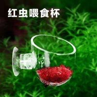 Cốc trồng cây thủy sinh, cốc giun đỏ acrylic, cốc trồng cây thủy sinh, chậu cảnh, máng đựng giun đỏ