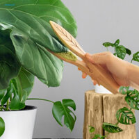 Cod Dụng cụ làm sạch lá lá từ tính cho cây trong nhà Lưỡi hình lá gỗ thông tự nhiên có nam châm Đầu bàn chải đôi Công cụ làm sạch lá tay cầm dài để dễ dàng Đông Nam