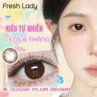 [COD] Fresh Lady [Sugar Plum] Kính áp tròng  Brown Grey màu xám hạn sử dụng 6 tháng 0 độ 14.2mm màu xám thời trang Lens