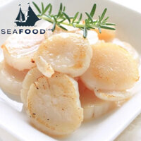 CÒI SÒ ĐIỆP NHẬT SIZE 40-60IB/KG. Giá sỉ từ 1kg