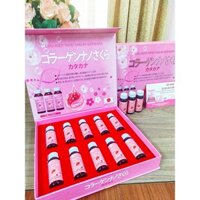 Collagen Nano Sakura Katakana