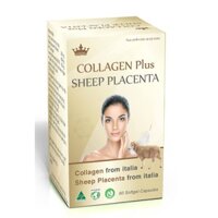 Collagen plus sheep placenta kingphar