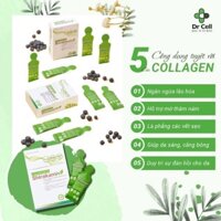 Collagen Shirakami Dr Cell Bổ Sung Hàm Lượng 2000mg Mỗi Ngày Hộp 10 Gói