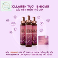 Collagen tươi Quý tộc 16.600mg chiết xuất nhau thai cừu và cô đặc lựu nho cho nữ set 5 chai Chunhho Hàn Quốc