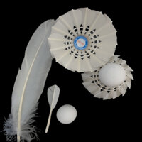 com bô 2 ống cầu lông sao mai - cầu tập luyện ngoài trời - trong nhà -  - tốc độ bay chuẩn ổn định - ống 10 quả 77