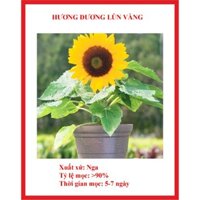 Com bo 50 hạt sen và 8 hạt hoa súng thái lan