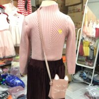 Com bo chân váy nhung + Áo len lông cừu + túi chó