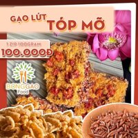 Cơm Cháy gạo lứt chà bông tóp mỡ loại 100 gram [Fast Food BG]