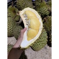 cơm sầu riêng sạch ri6 chín tự nhiên - 500gr