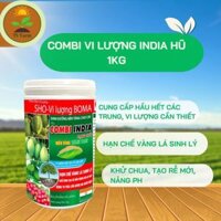 COMBI vi lượng India Hũ 1kg Nguyên liệu India