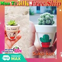 Combo 02 chậu sen đá xương rồng mini ( gồm cả cây và chậu như hình )