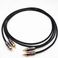 COMBO 02 DÂY CÁP ÂM THANH AUDIO RCA CHỐNG NHIỄU MONSTER STANDARD 100 CHÍNH HÃNG