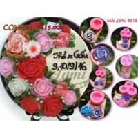COMBO 03 KHUÔN SILICON RAU CÂU HOA NỔI