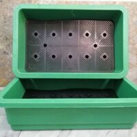 Combo 05 Chậu nhựa trồng rau sạch thông minh | Khay trồng rau thế hệ mới- Màu Xanh Lá