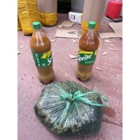 COMBO 1 chai 1,5 lít Phân ủ đậu tương + 1 túi Phân Gà