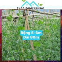 Combo 1 cuộn 80m lưới làm giàn cho cây leo khổ rộng 4m-5m (tuỳ mình căng), lưới làm giàn bí, giàn bầu, độ bền cao
