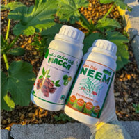 Combo 1 Dầu Neem 250ml và 1 Macca 250ml phòng và xua đuổi côn trùng gây hại bọ trĩ nhện đỏ bọ nhảy bọ dưa