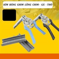 COMBO 1 KÌM BĂNG VÀ 7 HỘP GHIM RÁP LỒNG BỒ CÂU LỒNG GÀ LỒNG THỎ LỒNG CHIM - LỒNG GÀ - 915