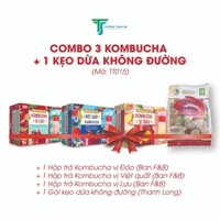 Combo 1 Kombucha Đào, 1 Kombucha Lựu, 1 Kombucha Việt Quất, 1 Kẹo Dừa Không Đường Gói 270g