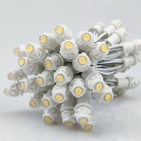 Combo 10, 20 dây Led đúc F5 12V kèm nguồn 400W-12V, Trang trí quấn cây, nhà hàng, biển quảng cáo, chống nước tốt