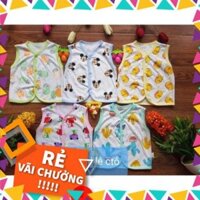 Combo 10 áo ghi lê cotton cho bé ( sỉ)