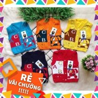 Combo 10 áo ghi lê , ghi lê len cho bé ( sỉ)