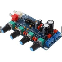 Combo 10 bảng mạch loa bass treb Dual AC 12V-230V NES55232